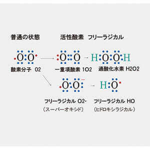 アンチオキシダントシステム,DrPURBEAUTE,ピュールボーテ,ドクターコスメ,エイジングコスメ,アンチエイジング,